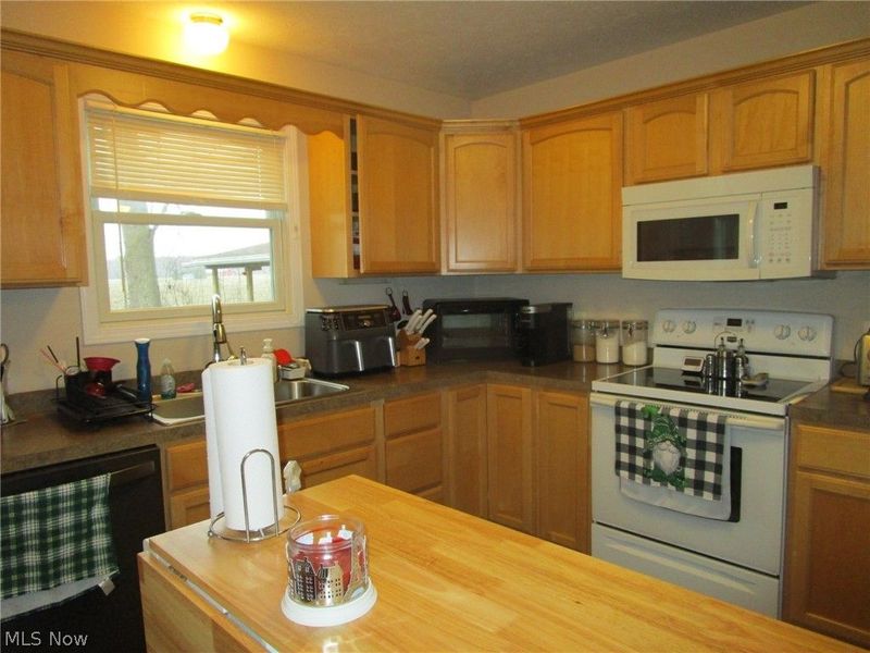 889 Long Shadow Lane, Roaming Shores, OH 44085 Photo 18