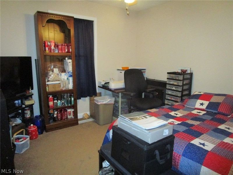 889 Long Shadow Lane, Roaming Shores, OH 44085 Photo 34