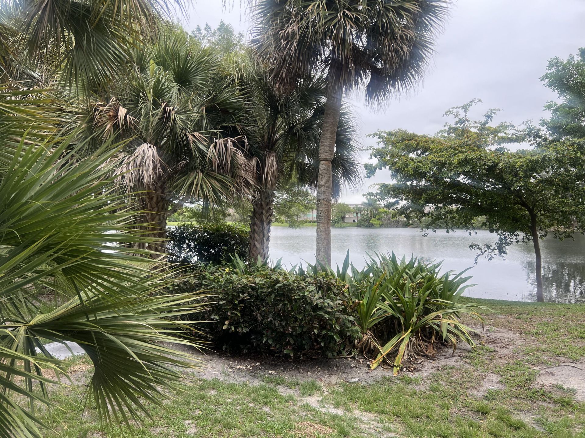 3300 Spanish Moss Terrace, Unit 111, Lauderhill, FL 33319 Photo