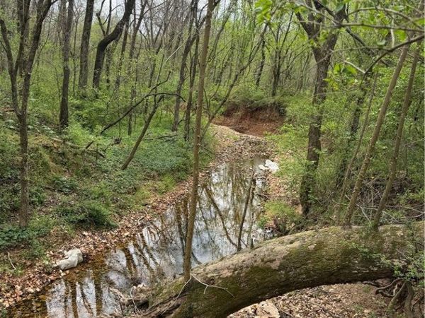 12782 Stoney Point Road , Rogers, AR 72758