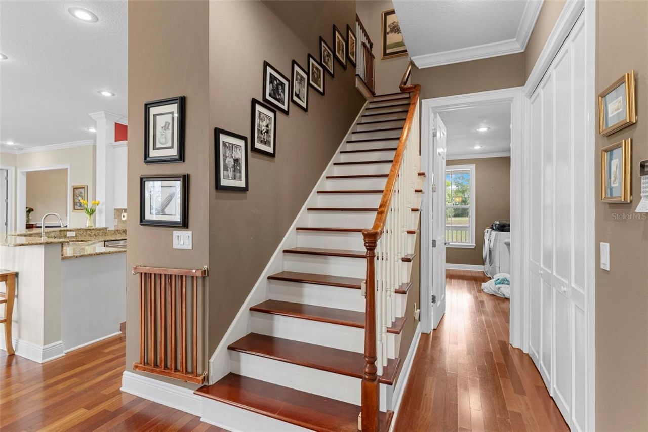 10913 Brigann Yard Way, Thonotosassa, FL 33592 Photo