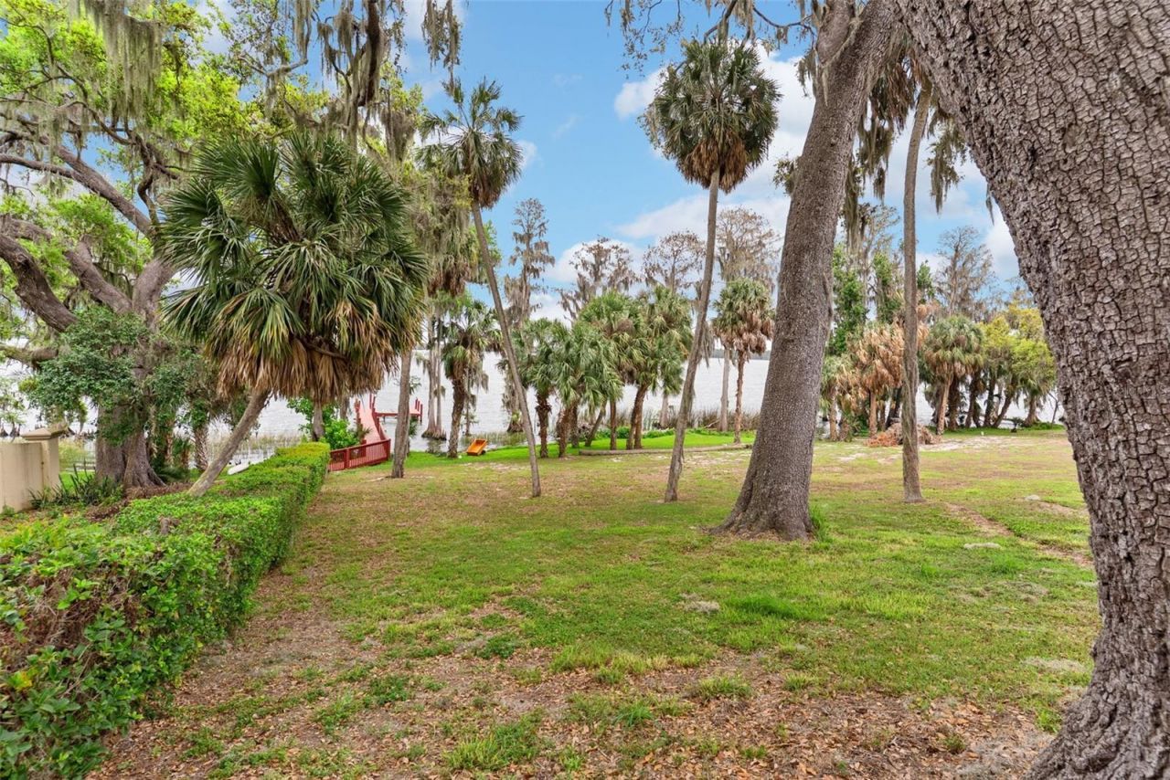 10913 Brigann Yard Way, Thonotosassa, FL 33592 Photo