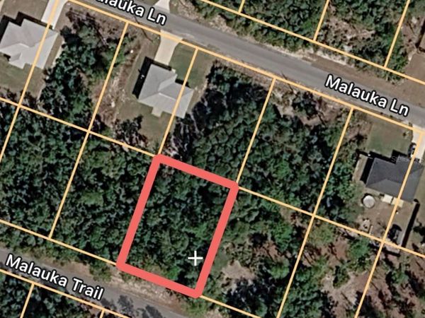 MALAUKA TRAIL, OCKLAWAHA, FL 32179