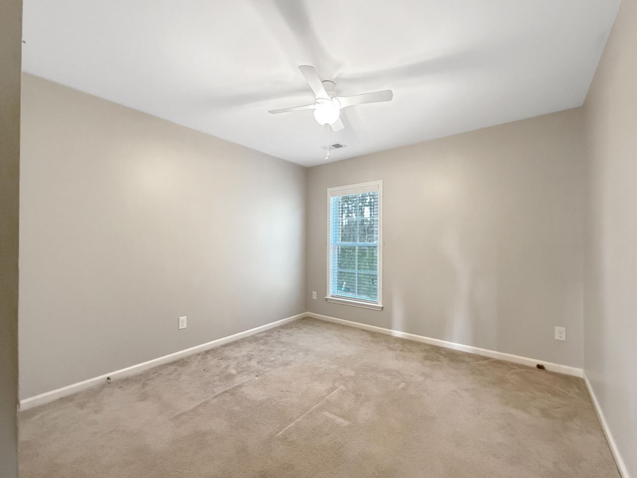 1955 Wild Indigo Way Photo 18