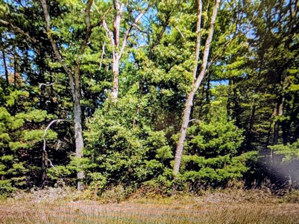 130 US 10, Idlewild, MI 49642