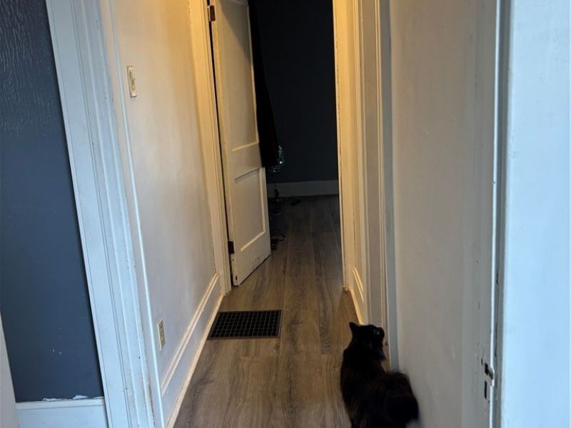 1407 Elm Street, Cambridge, OH 43725 Photo 4