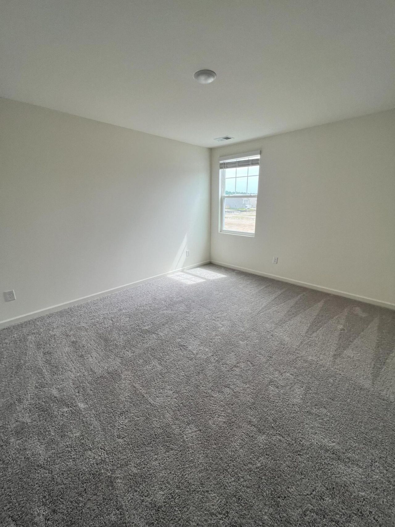 1018 Carriage Wood Circle Photo 8