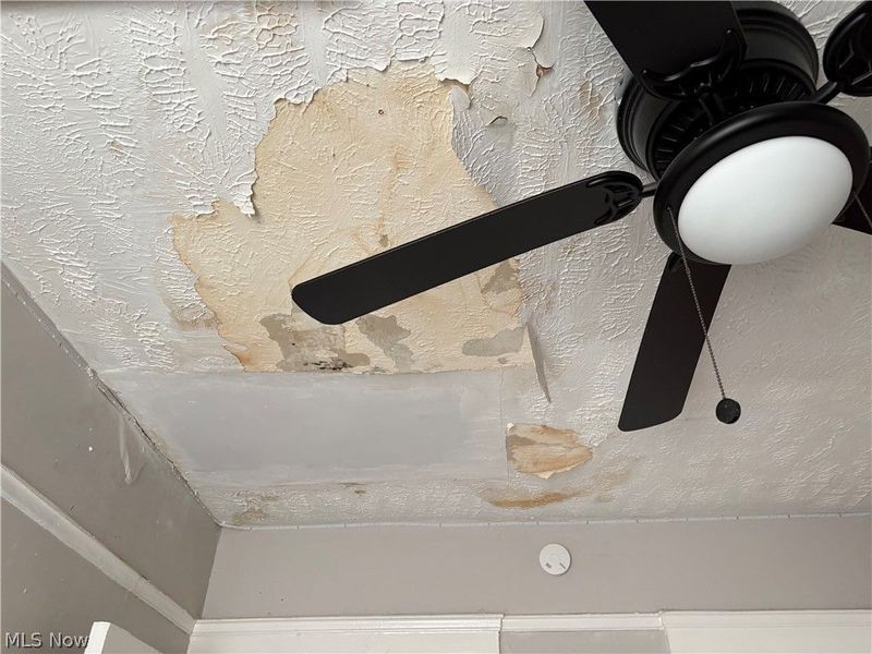 13514 Union Avenue, Cleveland, OH 44120 Photo 30