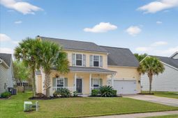 146 Back Tee Circle photo 4