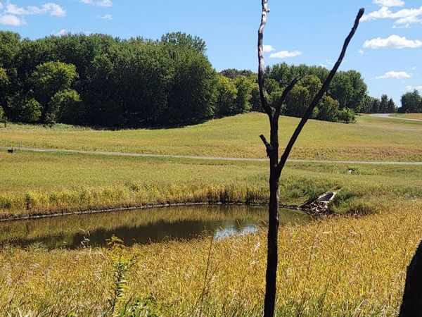 L8B1 Miller Place NW, Rochester, MN 55901