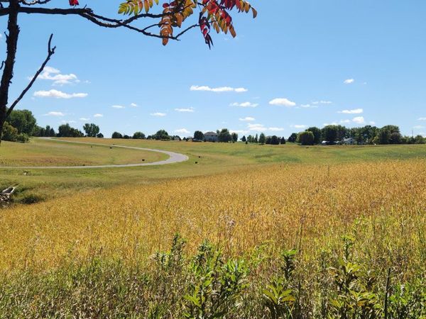 L7B1 Miller Place NW, Rochester, MN 55901