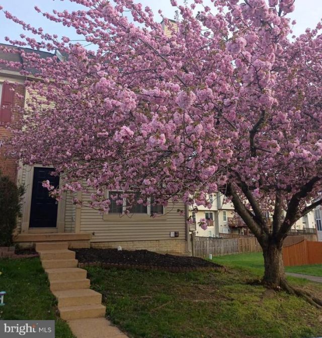 3429 Tuckahoe Court, Dumfries, VA 22026 Main Photo