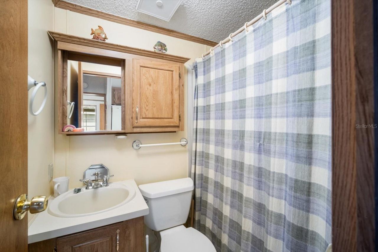35045 Cynthia Avenue, Zephyrhills, FL 33541 Photo