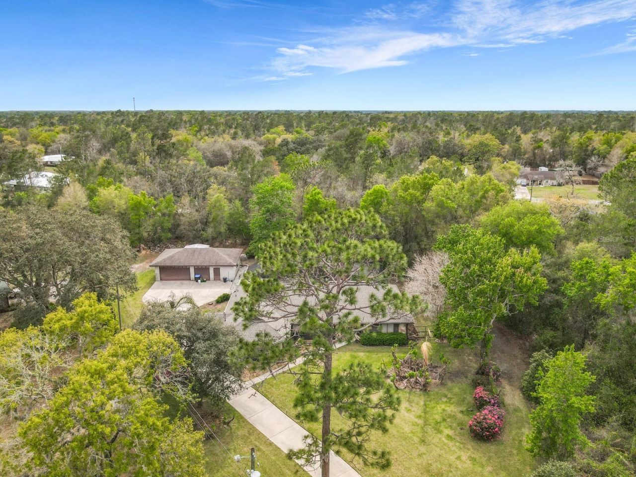 2420 Quails Roost Place, De Leon Springs, FL 32130 Photo