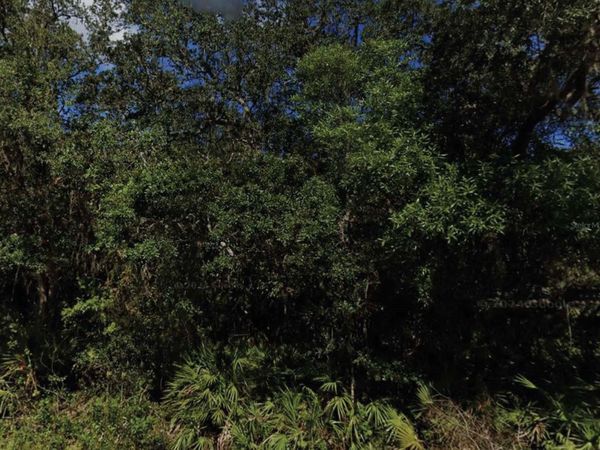 NE 47TH TERRACE , CITRA, FL 32113