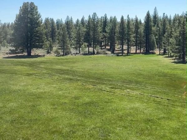 xxxx Doyle Grade, Chilcoot, CA 96105