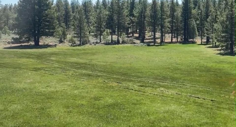 Xxxx Doyle Grade, Chilcoot, CA 96105 Photo