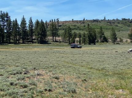 Xxxx Doyle Grade, Chilcoot, CA 96105 Photo