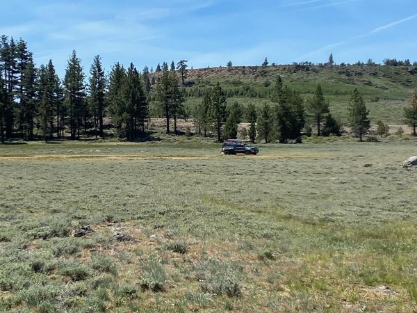 xxxx Doyle Grade, Chilcoot, CA 96105