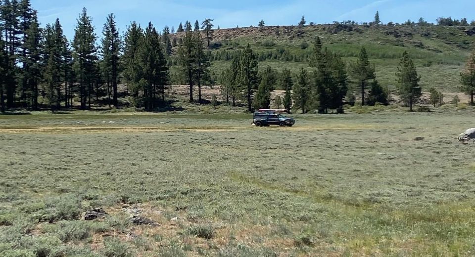 Xxxx Doyle Grade, Chilcoot, CA 96105 Photo