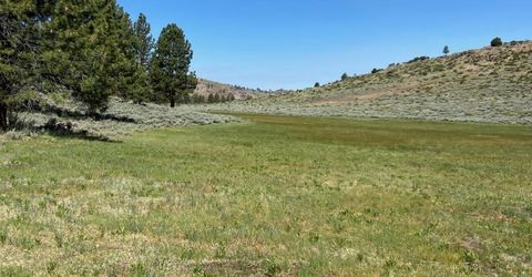 Xxxx Doyle Grade, Chilcoot, CA 96105 Photo