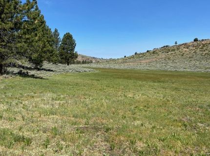 Xxxx Doyle Grade, Chilcoot, CA 96105 Photo