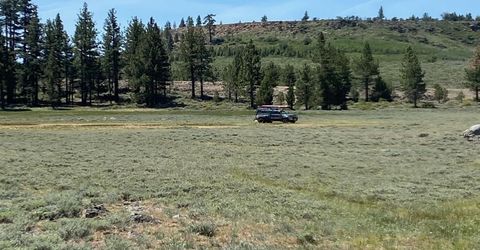 Xxxx Doyle Grade, Chilcoot, CA 96105 Photo