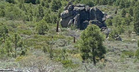 Xxxx Doyle Grade, Chilcoot, CA 96105 Photo