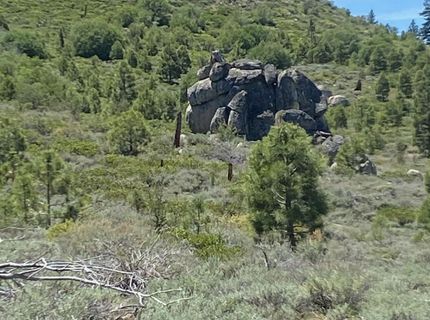 Xxxx Doyle Grade, Chilcoot, CA 96105 Photo