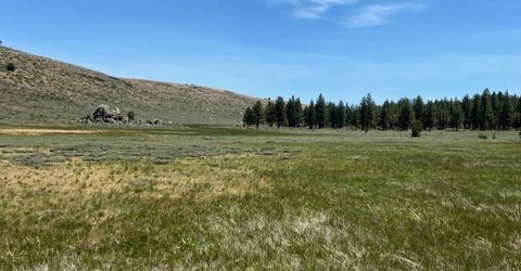 Xxxx Doyle Grade, Chilcoot, CA 96105 Photo