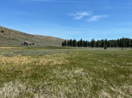 Xxxx Doyle Grade, Chilcoot, CA 96105 Photo