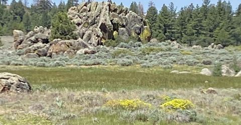 Xxxx Doyle Grade, Chilcoot, CA 96105 Photo