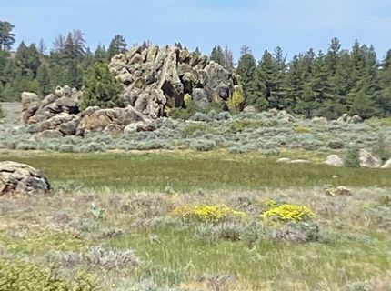 Xxxx Doyle Grade, Chilcoot, CA 96105 Photo