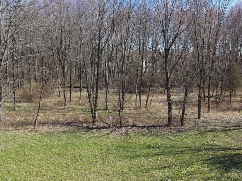 0 Merwin Ten Mile Road, Amelia, OH 45102 Photo 9