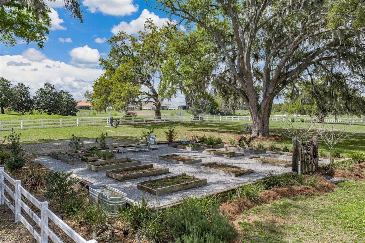 34428 Mission Valley Drive, Dade City, FL 33525 Photo