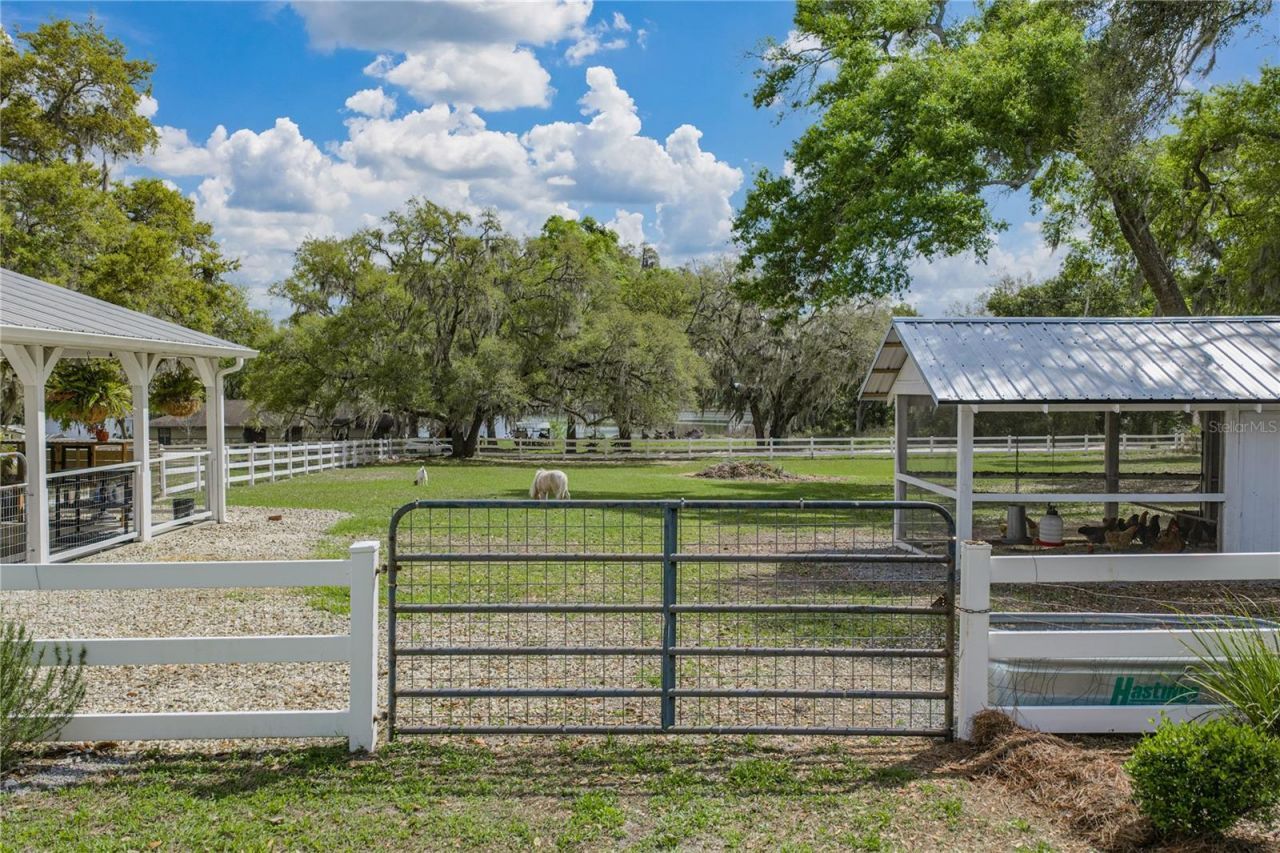 34428 Mission Valley Drive, Dade City, FL 33525 Photo