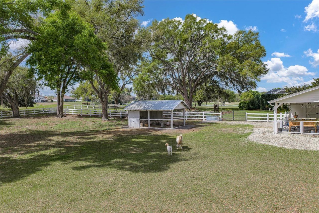 34428 Mission Valley Drive, Dade City, FL 33525 Photo