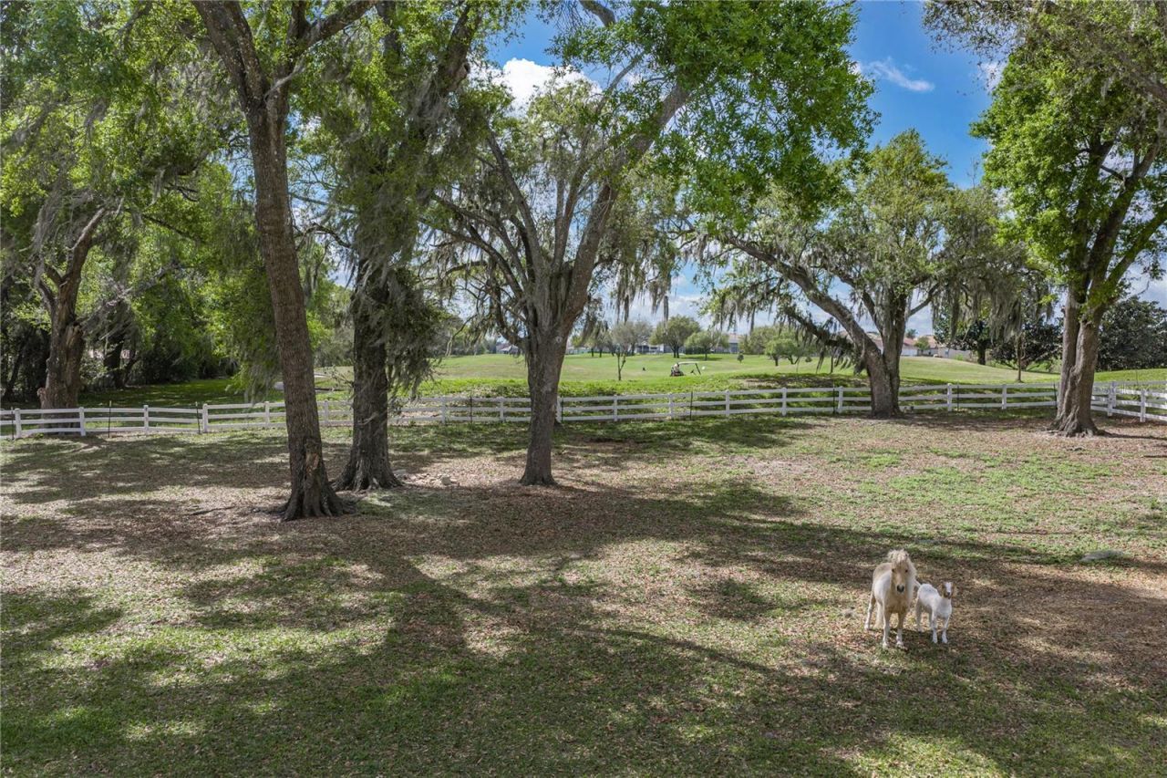 34428 Mission Valley Drive, Dade City, FL 33525 Photo