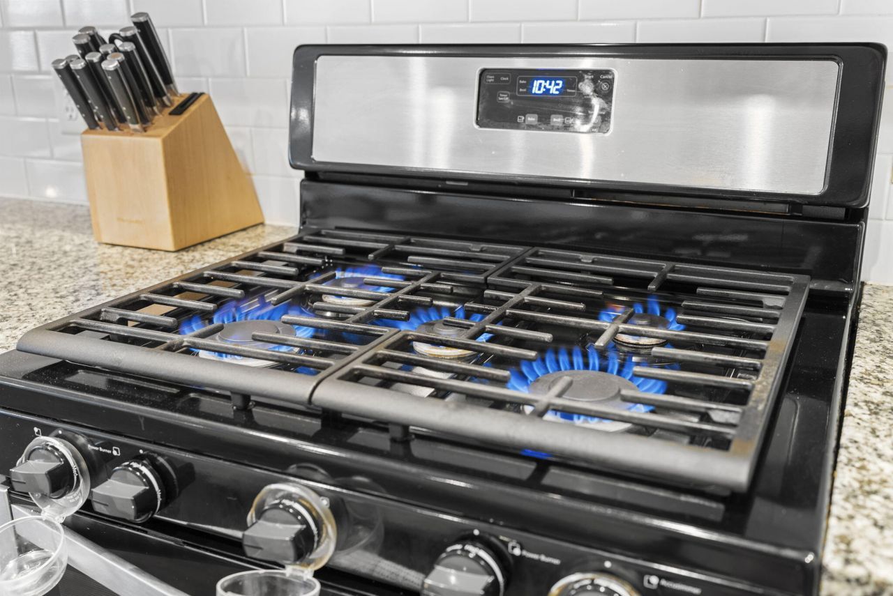 2036 Lanneau Lane Photo 14