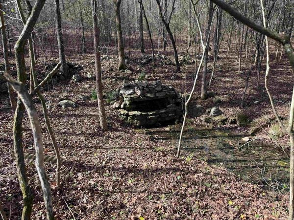 TBD Polk Road 13 , Wickes, AR 71973