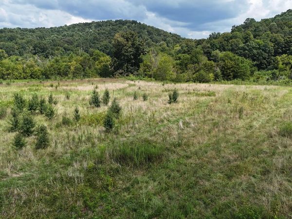 0 County Road 60 , Riceville, TN 37370