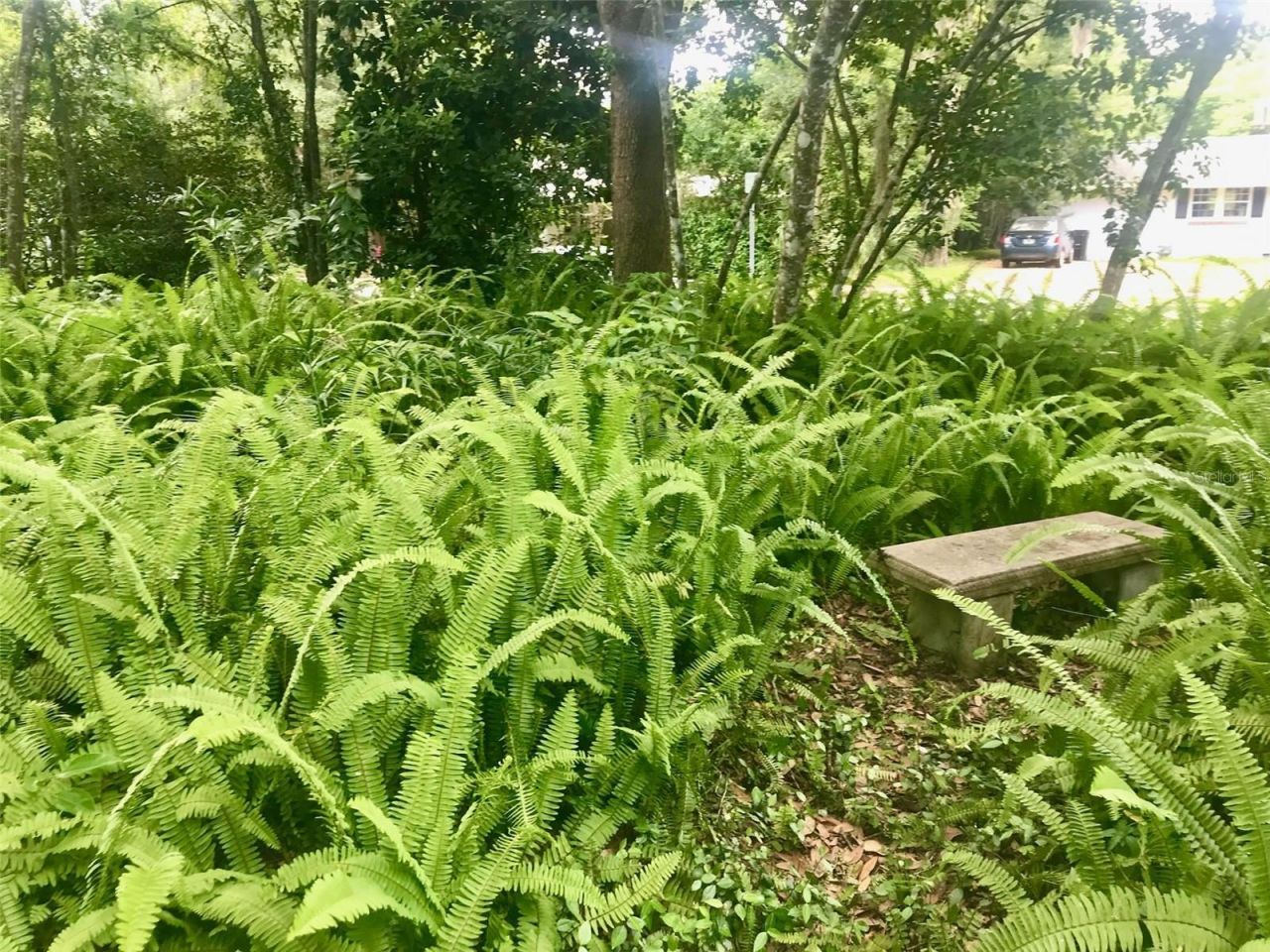 1723 NW 7th Avenue, Gainesville, FL 32603 Photo