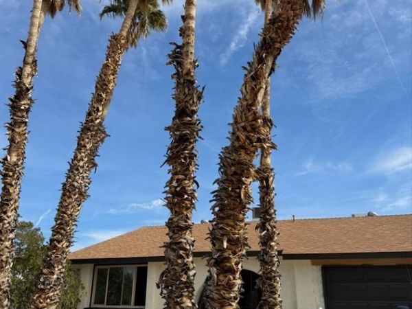 633 Severn Street, Henderson, NV 89002