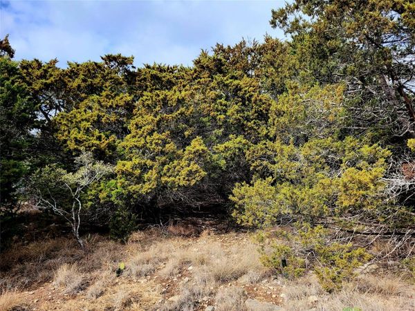 2066 Stallion Springs DR, Fischer, TX 78623