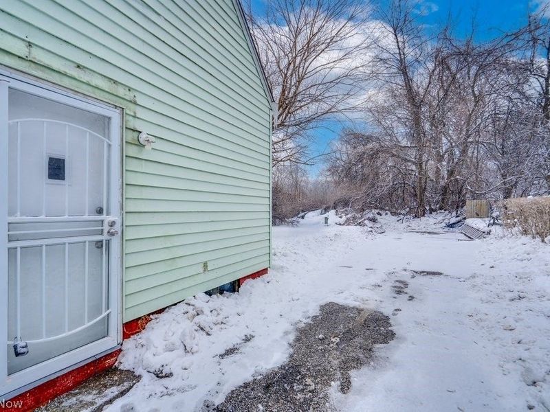 9809 Way Avenue, Cleveland, OH 44105 Photo 27