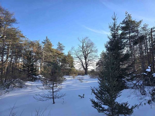 TBD Needles Drive, Unit Lot 36, Harbor Springs, MI 49740