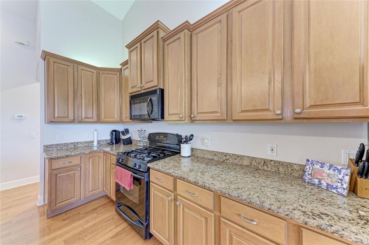 14325 Sundial Place, Lakewood Ranch, FL 34202 Photo