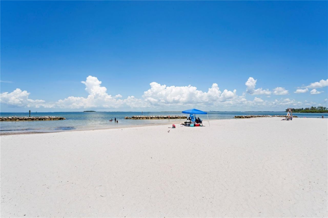 1029 Bal Harbour Drive, Apollo Beach, FL 33572 Photo