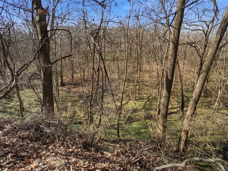 1119 Birchton Place, Vandalia, OH 45377 Photo 81