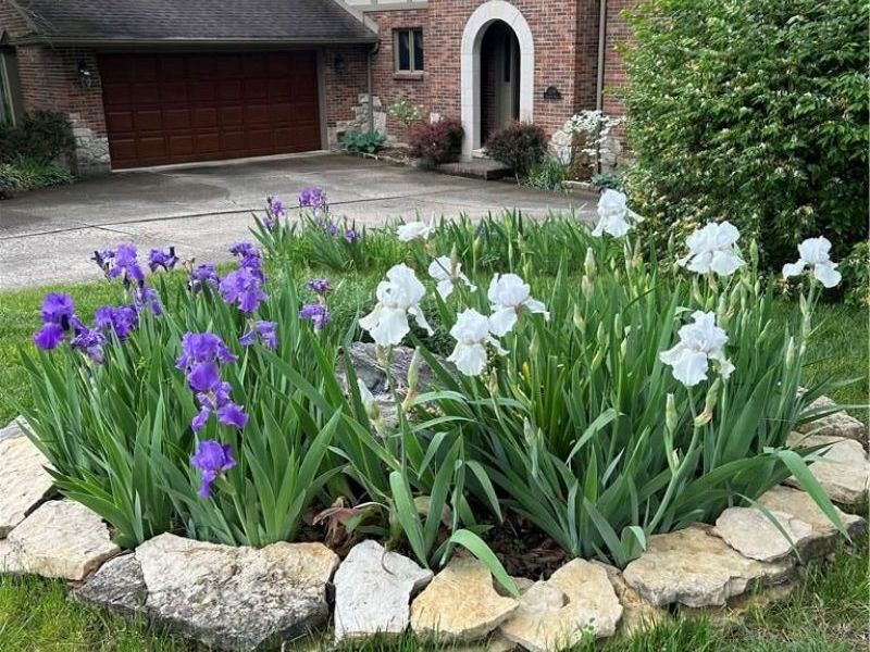 1119 Birchton Place, Vandalia, OH 45377 Photo 95